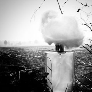 Nebbia Fitta - Filippo Sorcinelli