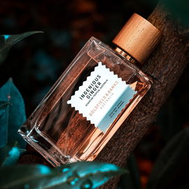 Ingenious Ginger - Goldfield & Banks