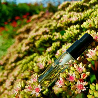 Lost Paradise - Urban Scents