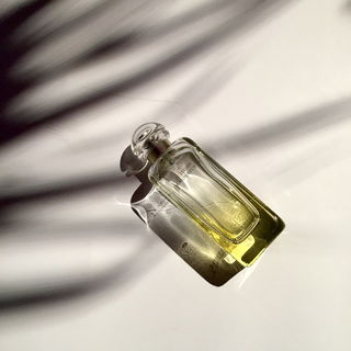 Le Jardin de Monsieur Li by Hermès