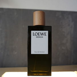 Acqua di Giò Parfum - Giorgio Armani