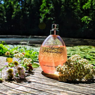 Eau Provocateur - Agent Provocateur