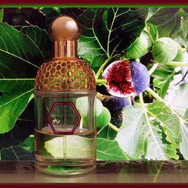 Aqua Allegoria Figue-Iris - Guerlain