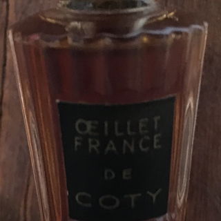 Œillet France von Coty