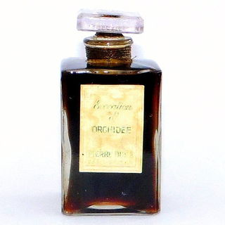 Evocation d'Orchidée - Pierre Dune