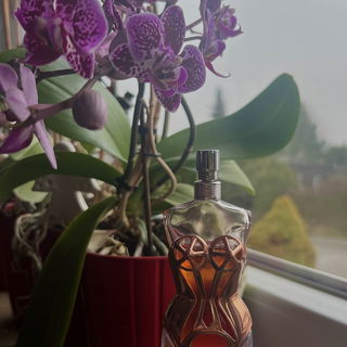 Classique (Parfum) von Jean Paul Gaultier