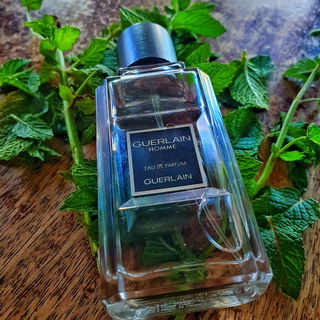 Guerlain Homme (Eau de Parfum) by Guerlain
