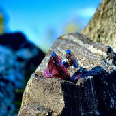 …📷🌍 Thank you. Danke schön. Merci beaucoup. Muchas gracias. Dōmo arigatō gozaimasu 💐… (von Kokusai)