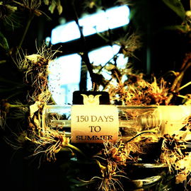 Days are getting longer