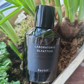 Nektar - Laboratorio Olfattivo