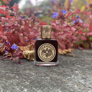 The Wonderland II by Folkwinds