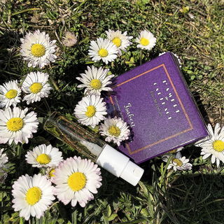 Perle Rare Ambre Carthage / L'Ambre de Carthage (2011) - Panouge