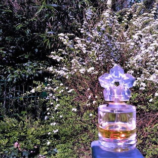 Life for Her by Kenzo Takada (Eau de Parfum) von Avon