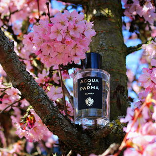 Sakura - Acqua di Parma