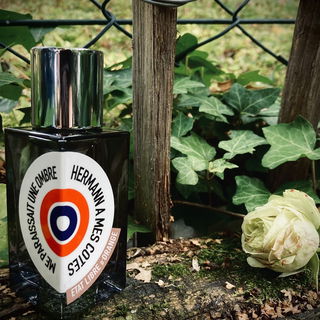 Der schwermütige Hermann.