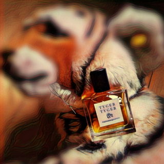 Mein Steifftigerchen....  Tyger ist so wild wie eine Schnecke mit Ökohaus