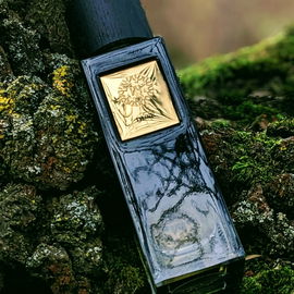 Dusk - The Woods Collection