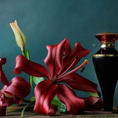 Ihr Lieben, ich danke euch für die schönen Kommis & Auszeichnungen - endlich ist das blutrote Vollweib in meiner Sammlung :) Wünsche euch erholsame Ostertage (by EveMist)