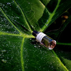 Oud Ispahan (Eau de Parfum) - Dior