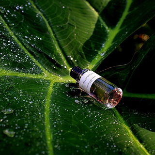 Oud Ispahan (Eau de Parfum) - Dior