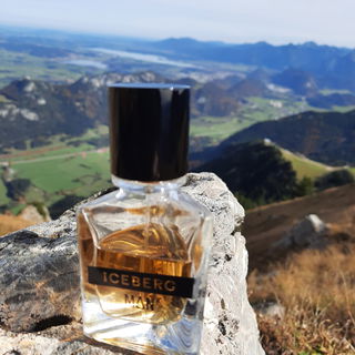 Iceberg Man by Iceberg