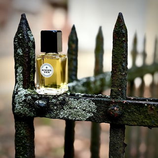 Knize Ten (Toilet Water) by Knize