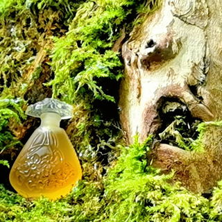 The Beauty and the Beast