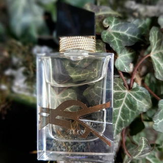 Libre (Eau de Parfum) by Yves Saint Laurent