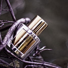 Metallique - Tom Ford