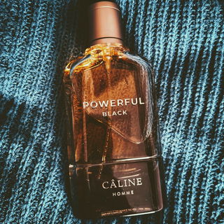 Powerful Black - Câline
