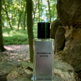 Olibanum Gardenia - Bohoboco