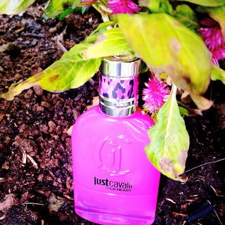 Just Cavalli Wild Heart for Her by Roberto Cavalli