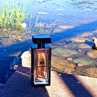 Seerosenteich im neuen Rennbahnpark auf dem Gelände der ehemaligen Niederräder Pferderennbahn