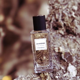 Saharienne (2015) - Yves Saint Laurent