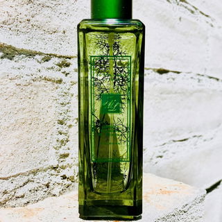 Für Fresh's Steine - ganz ohne Grünzeug geht's halt doch nicht