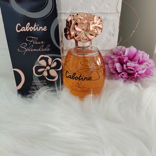 Cabotine Fleur Splendide by Grès