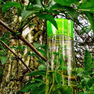 Fraîcheur Végétale de… Verveine - Yves Rocher