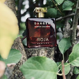 Danger Parfum Cologne - Roja Parfums