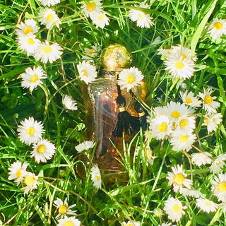 Safanad by Parfums de Marly