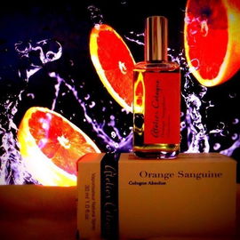 Shalimar Fourreau du Soir - Guerlain