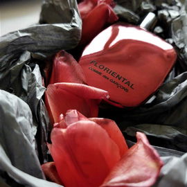 Floriental - Comme des Garçons