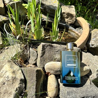 Malibù - Party In The Bay 5th Anniversary - Simone Andreoli