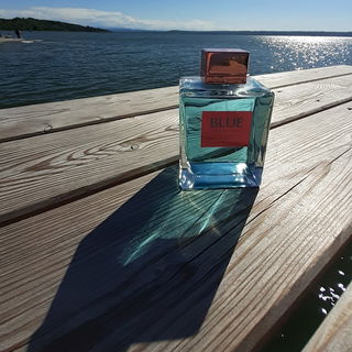 Blue Seduction for Women von Banderas