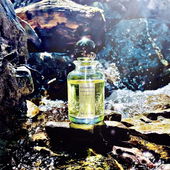 Minze im kühlenden Bachlauf (von Knopfnase)