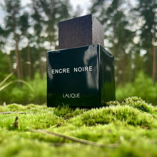 Lavande & Vétiver - Jeanne en Provence