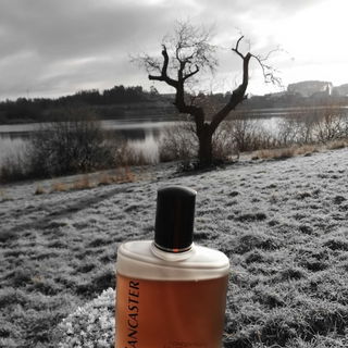 Lancaster (Eau de Toilette Concentrée) by Lancaster