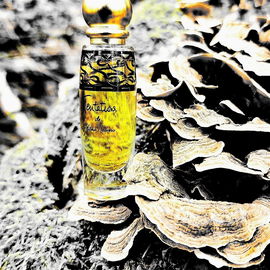 💛-lichen Dank für euren Fotobesuch und eure wertschätzenden Worte