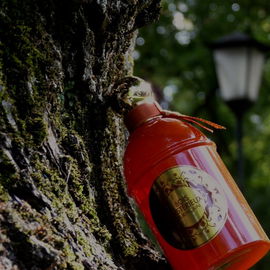 Bois Mystérieux / Songe d'un Bois d'Été - Guerlain