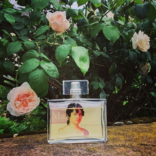 Les Roses de Francfort - Marianne von Willemer - Albrecht