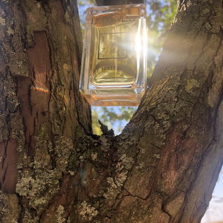 Danke für euren Besuch und die lieben Kommentare  🥰